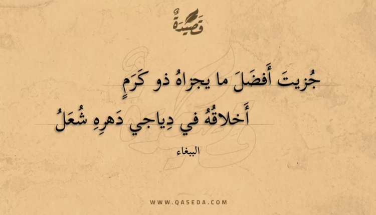 قصيدة جزيت أفضل ما يجزاه ذو كرم