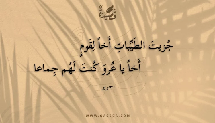 قصيدة جزيت الطيبات أخا لقوم