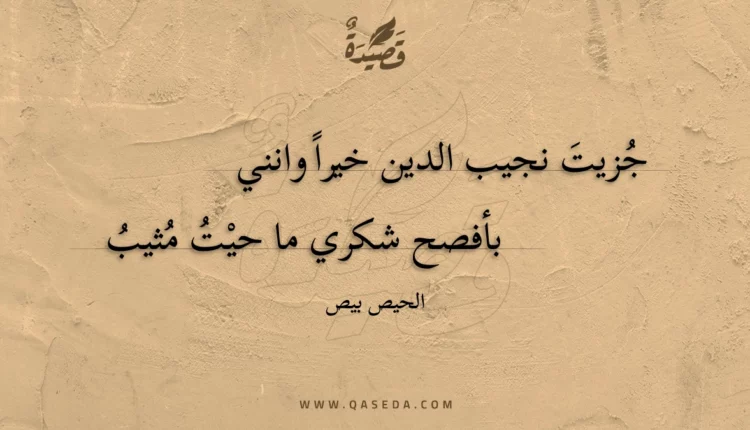 قصيدة جزيت نجيب الدين خيرا وانني