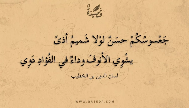 قصيدة جعسوسكم حسن لولا شميم أذى