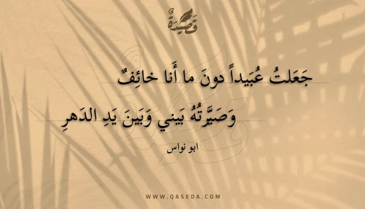 قصيدة جعلت عبيدا دون ما أنا خائف