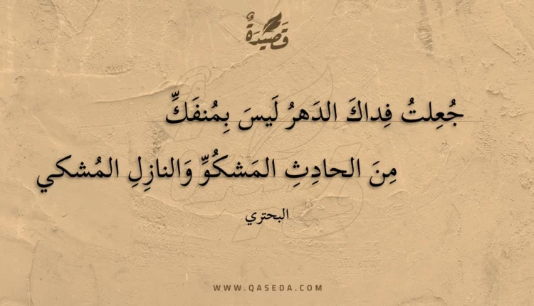 قصيدة جعلت فداك الدهر ليس بمنفك