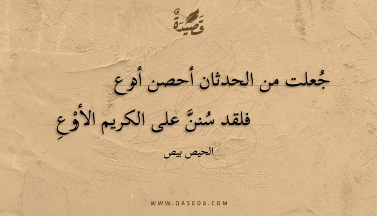 قصيدة جعلت من الحدثان أحصن أدرع