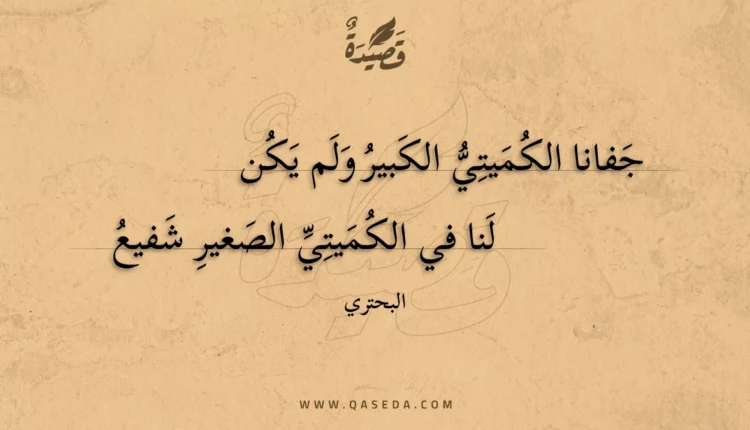 قصيدة جفانا الكميتي الكبير ولم يكن