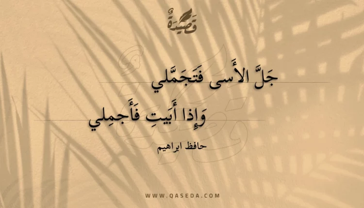 قصيدة جل الأسى فتجملي