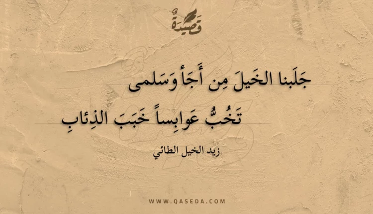قصيدة جلبنا الخيل من أجأ وسلمى