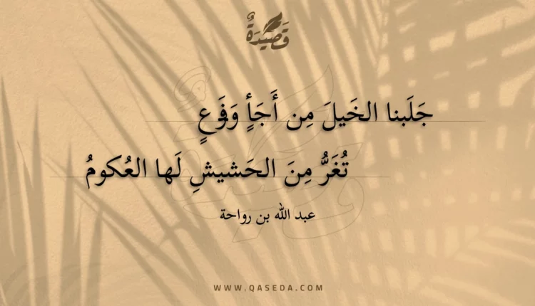 قصيدة جلبنا الخيل من أجأ وفرع
