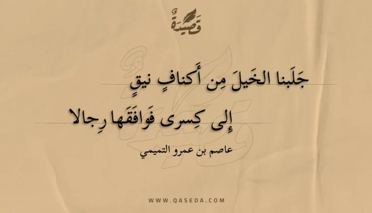 قصيدة جلبنا الخيل من أكناف نيق