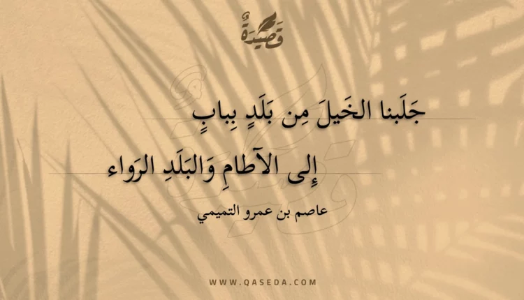 قصيدة جلبنا الخيل من بلد بباب