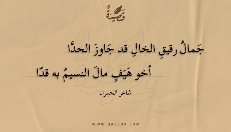 قصيدة جمال رقيق الخال قد جاوز الحدا