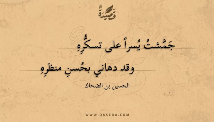 قصيدة جمشت يسرا على تسكره