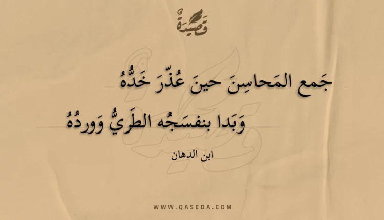 قصيدة جمع المحاسن حين عذر خده