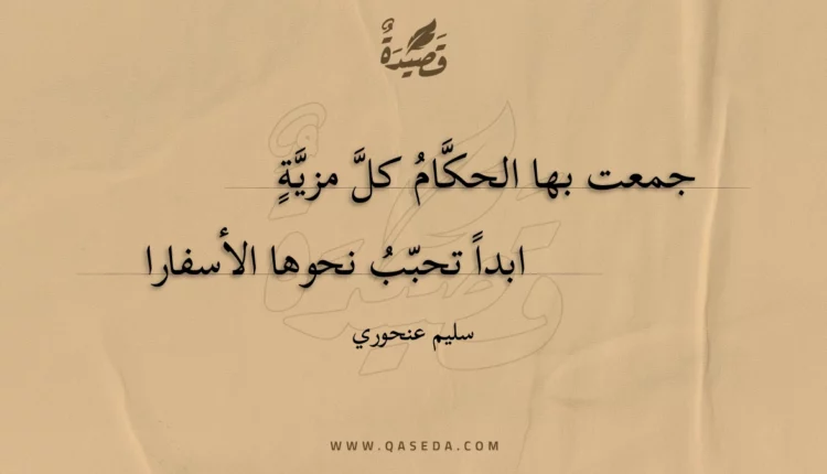 قصيدة جمعت بها الحكام كل مزية