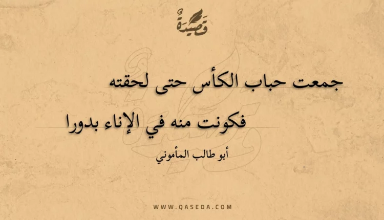 قصيدة جمعت حباب الكأس حتى لحقته