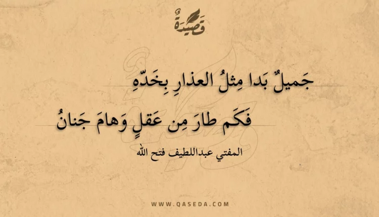 قصيدة جميل بدا مثل العذار بخده