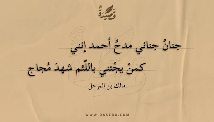 قصيدة جنان جناني مدح أحمد إنني
