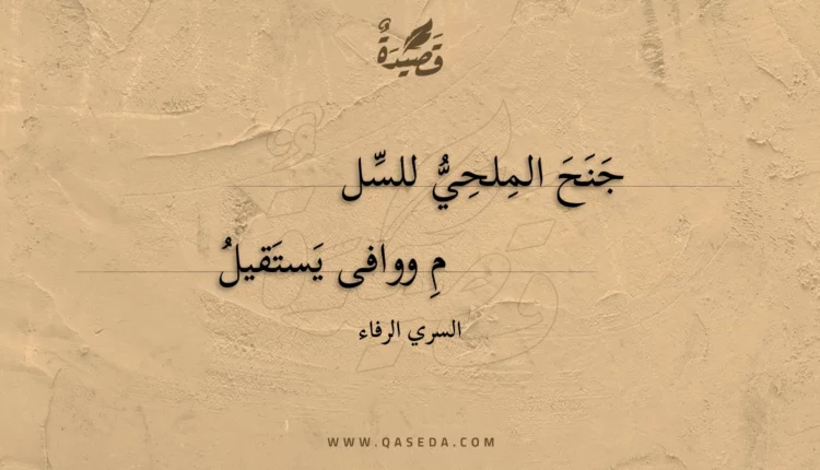 قصيدة جنح الملحي للسلم