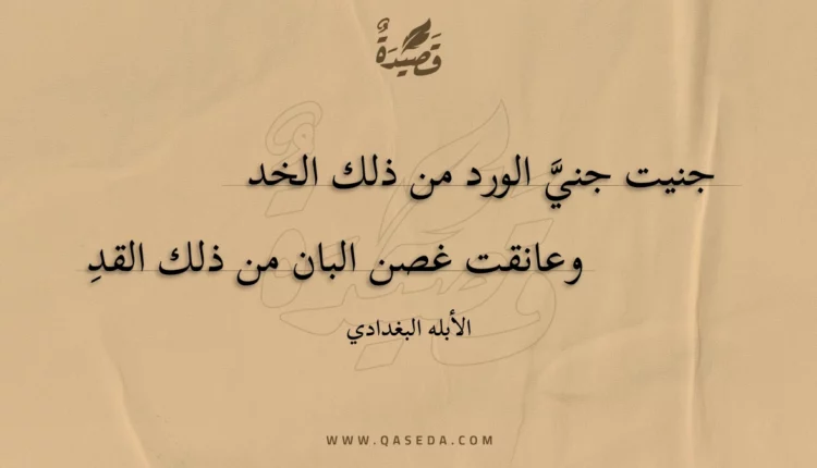 قصيدة جنيت جني الورد من ذلك الخد
