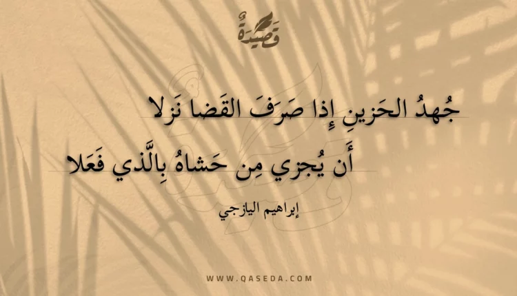 قصيدة جهد الحزين إذا صرف القضا نزلا