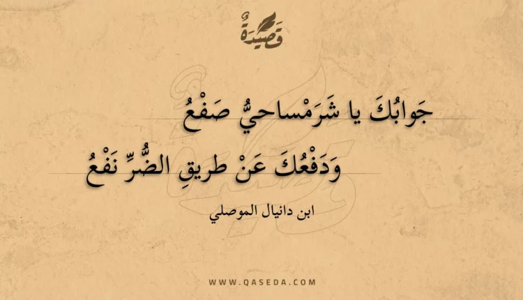 قصيدة جوابك يا شرمساحي صفع