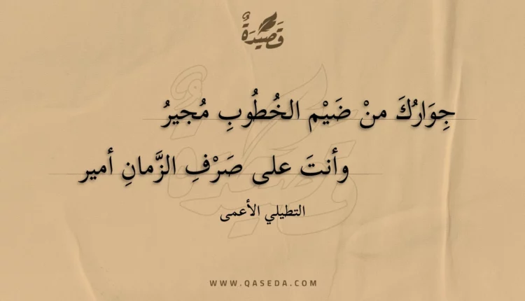 قصيدة جوارك من ضيم الخطوب مجير