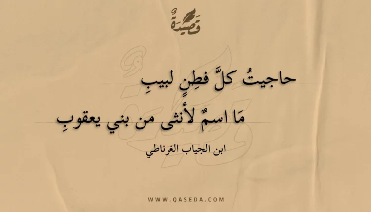 قصيدة حاجيت كل فطن لبيب
