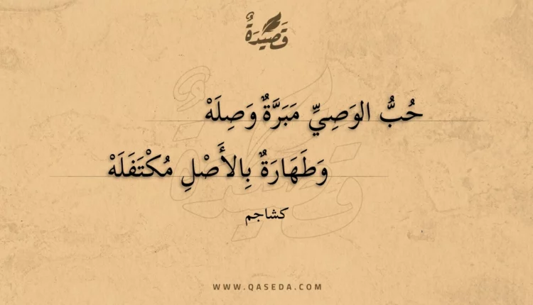 قصيدة حب الوصي مبرة وصله