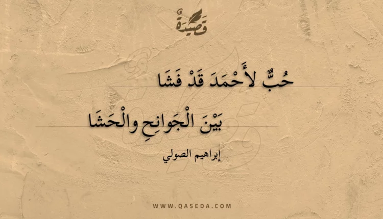 قصيدة حب لأحمد قد فشا