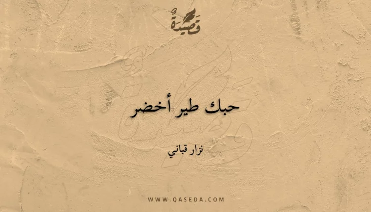 قصيدة حبك طير أخضر
