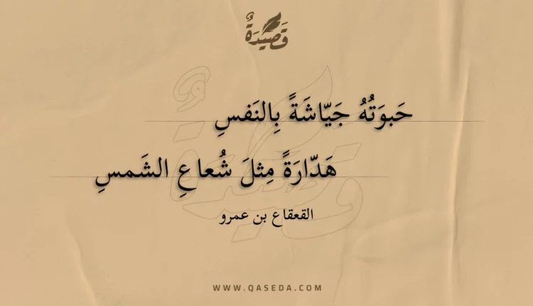 قصيدة حبوته جياشة بالنفس
