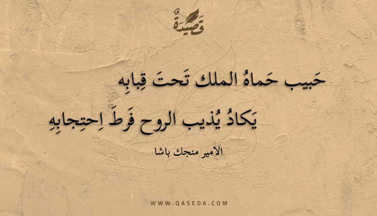 قصيدة حبيب حماه الملك تحت قبابه