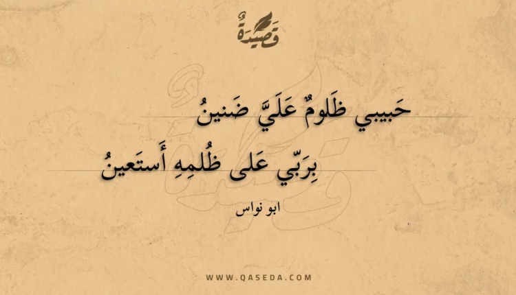 قصيدة حبيبي ظلوم علي ضنين