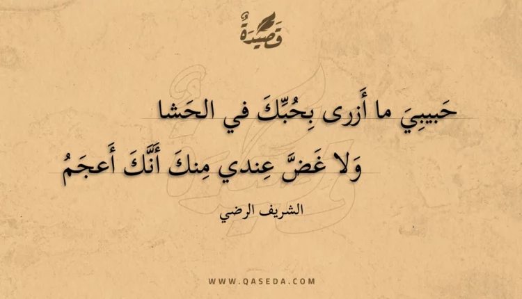 قصيدة حبيبي ما أزرى بحبك في الحشا