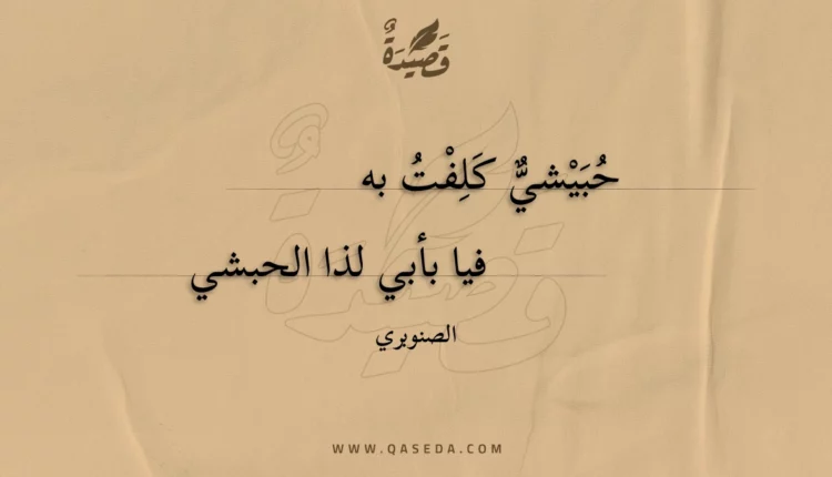 قصيدة حبيشي كلفت به
