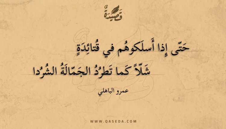 قصيدة حتى إذا أسلكوهم في قتائدة