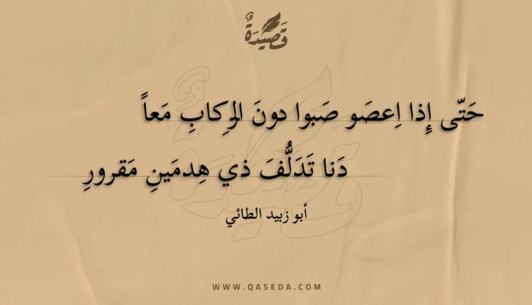 قصيدة حتى إذا اعصو صبوا دون الركاب معا