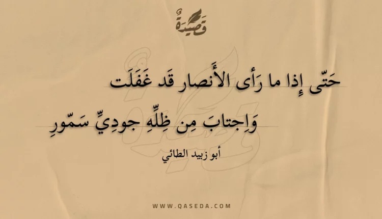 قصيدة حتى إذا ما رأى الأنصار قد غفلت