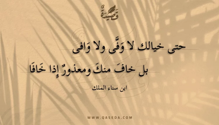 قصيدة حتى خيالك لا وفى ولا وافى