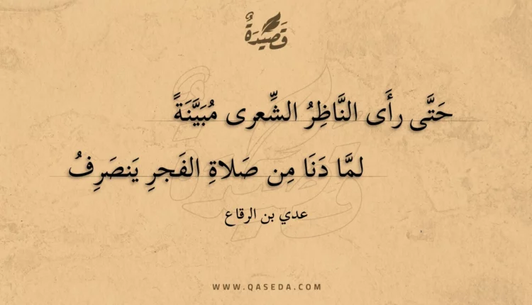قصيدة حتى رأى الناظر الشعرى مبينة