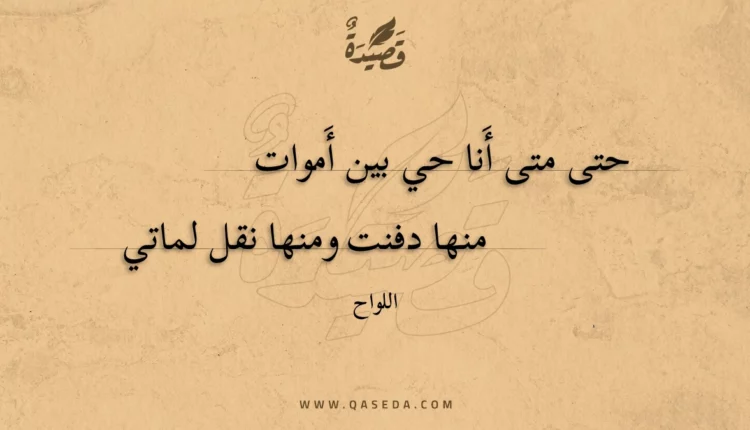 قصيدة حتى متى أنا حي بين أموات
