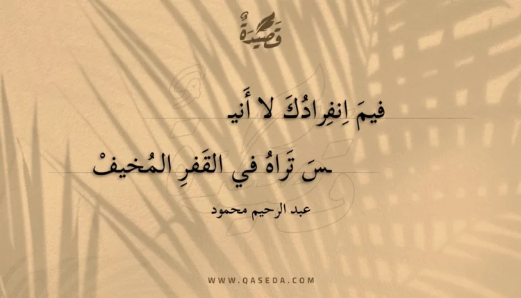 قصيدة حجر في كثبان الرمل