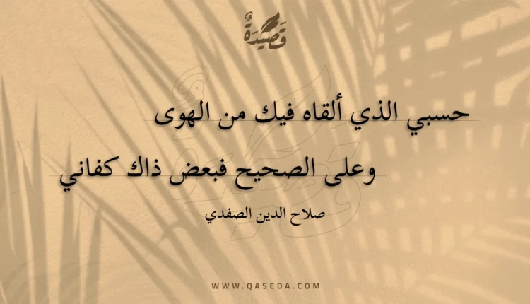 قصيدة حسبي الذي ألقاه فيك من الهوى