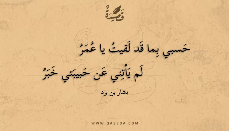 قصيدة حسبي بما قد لقيت يا عمر