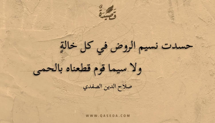 قصيدة حسدت نسيم الروض في كل خالة
