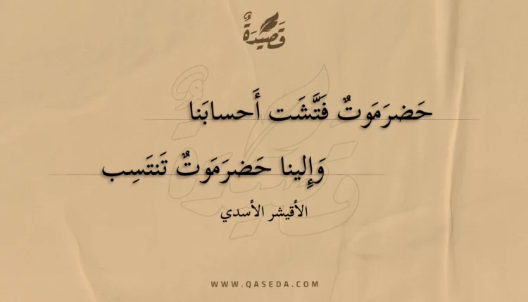 قصيدة حضرموت فتشت أحسابنا