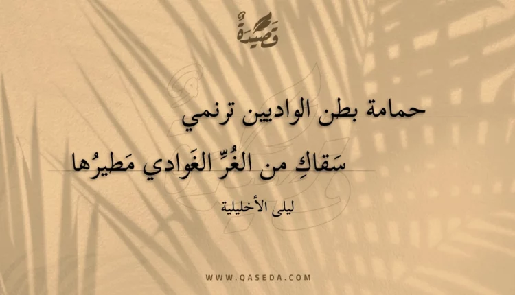 قصيدة حمامة بطن الواديين ترنمي