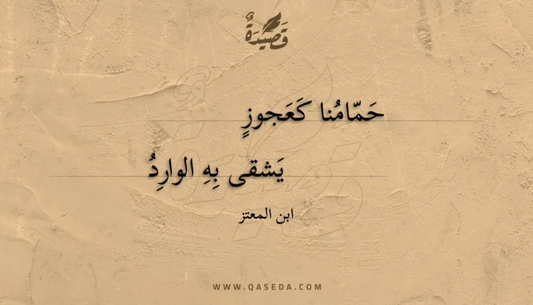 قصيدة حمامنا كعجوز