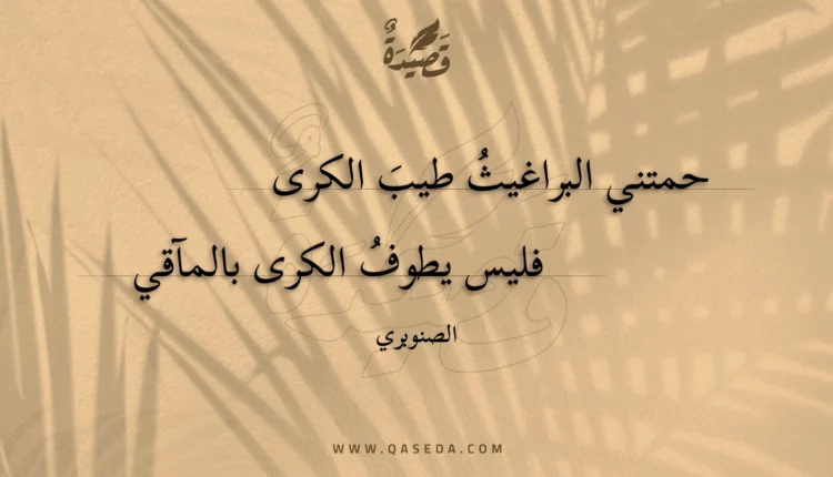 قصيدة حمتني البراغيث طيب الكرى