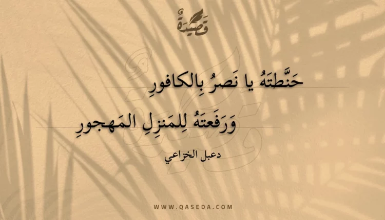 قصيدة حنطته يا نصر بالكافور