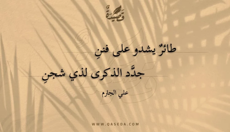 قصيدة حنين طائر